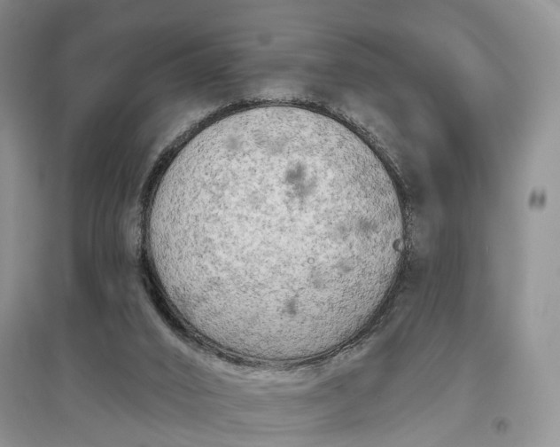X0000097290016200802291801