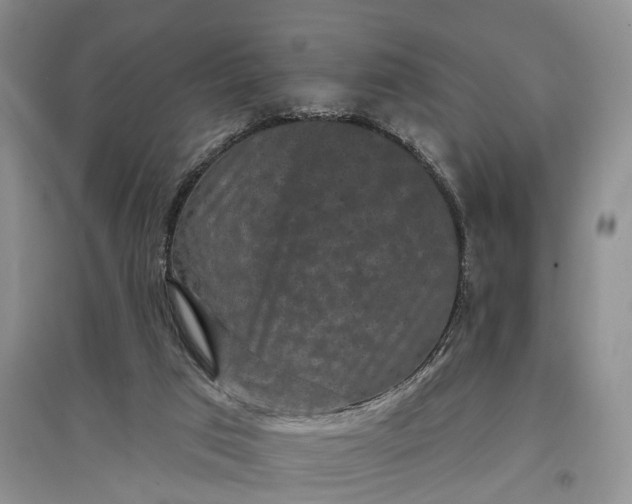 X0000097290017200802291801