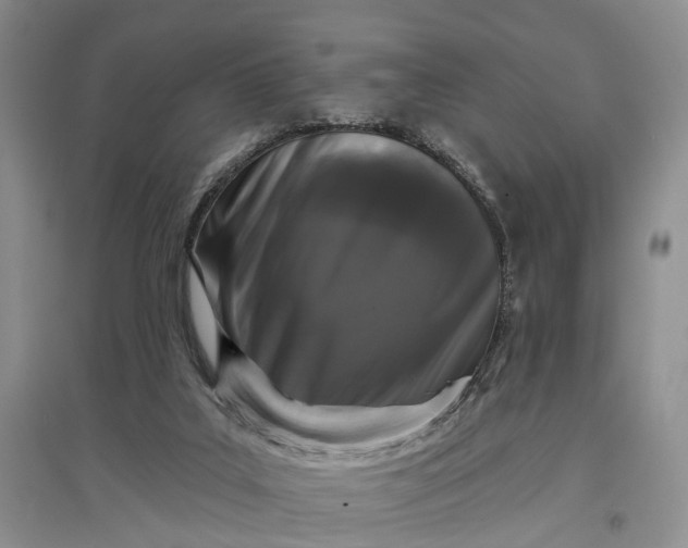 X0000097290019200802291801