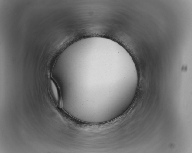 X0000097290021200802291801