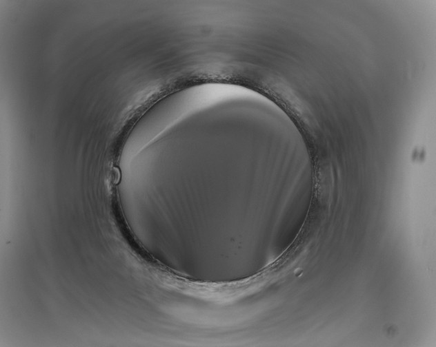 X0000097290023200802291801