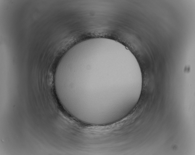X0000097290025200802291801