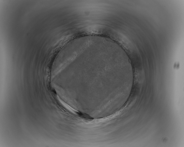 X0000097290029200802291801