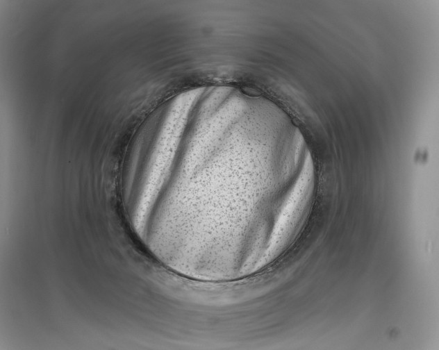 X0000097290030200802291801