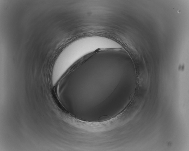 X0000097290031200802291801