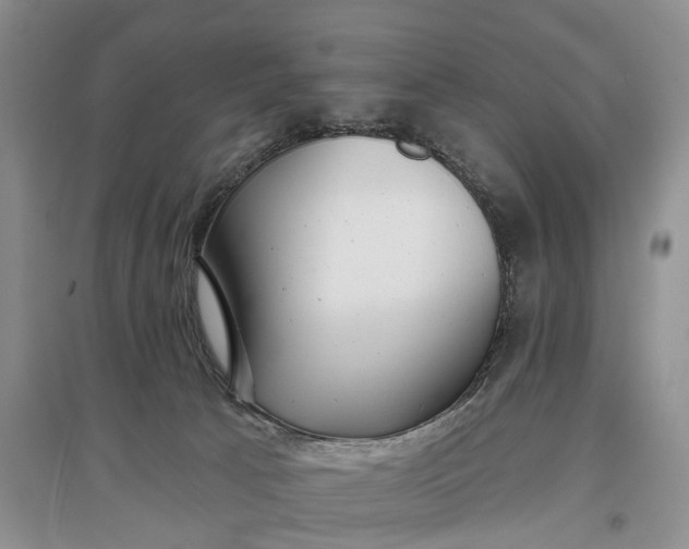 X0000097290033200802291801