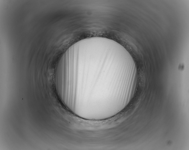 X0000097290034200802291801