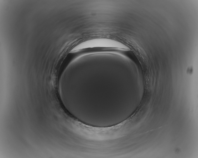 X0000097290035200802291801