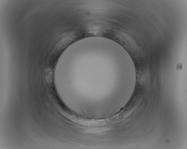 X0000097290036200802291801