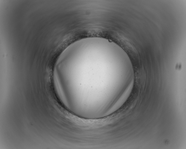 X0000097290038200802291801