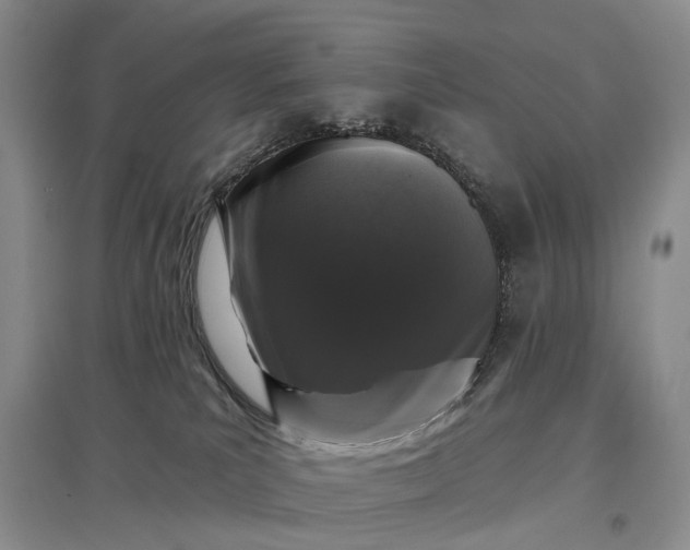 X0000097290039200802291801