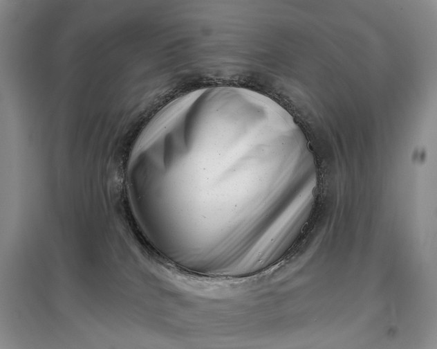 X0000097290040200802291801