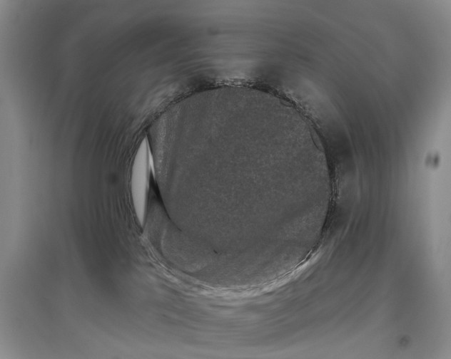 X0000097290041200802291801