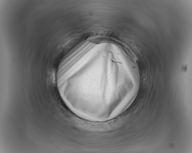 X0000097290042200802291801