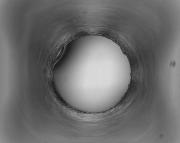 X0000097290044200802291801