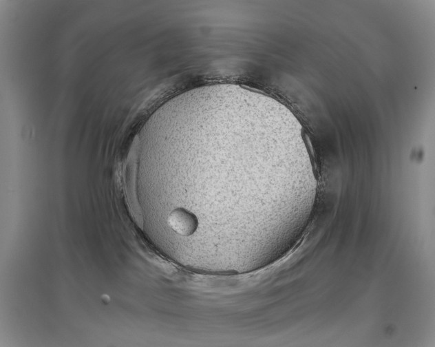 X0000097290045200802291801