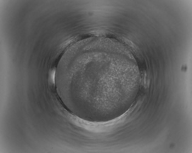 X0000097290047200802291801