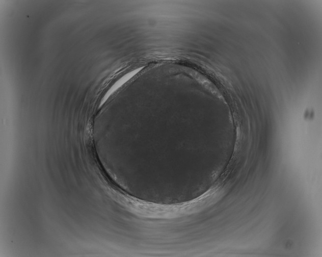 X0000097290048200802291801