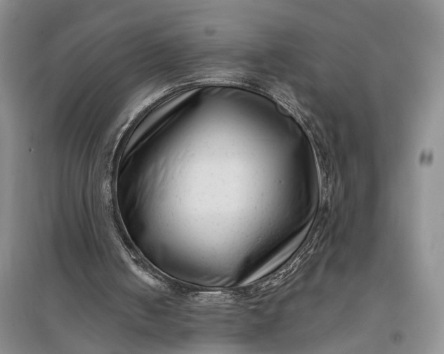 X0000097290050200802291800
