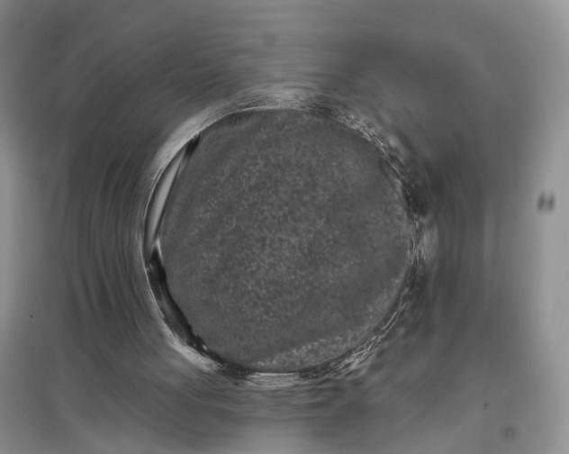 X0000097290051200802291800