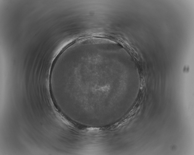 X0000097290052200802291800
