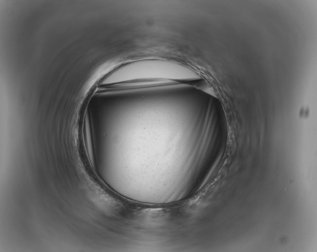X0000097290054200802291800