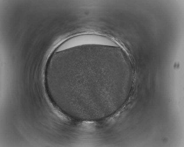 X0000097290055200802291800