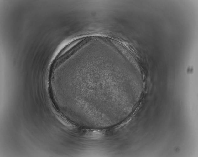 X0000097290056200802291800