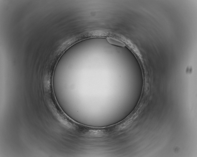 X0000097290057200802291800