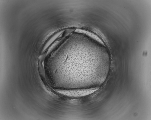 X0000097290058200802291800