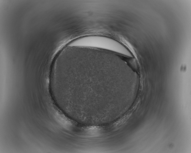 X0000097290059200802291800