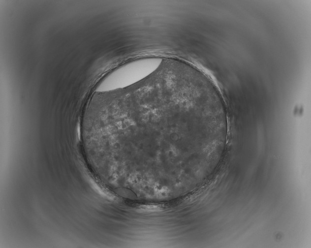 X0000097290061200802291800