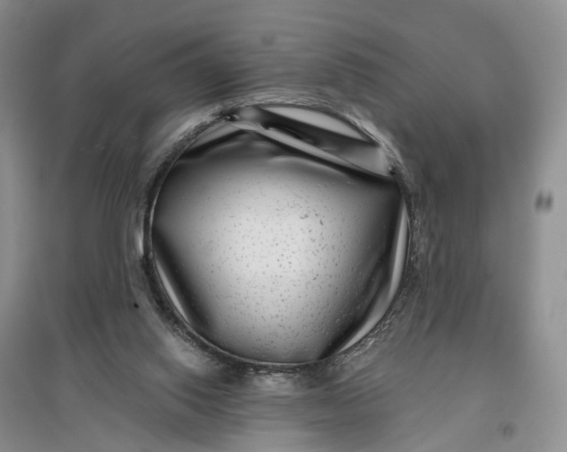 X0000097290062200802291800