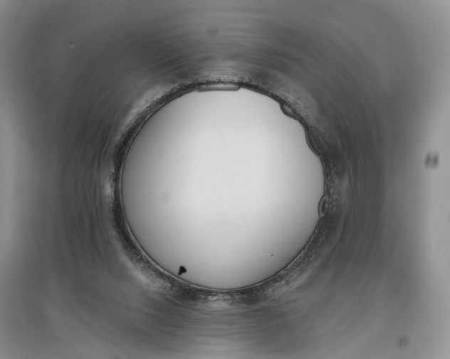 X0000097290064200802291800