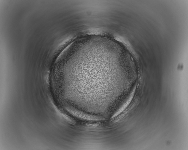 X0000097290066200802291800