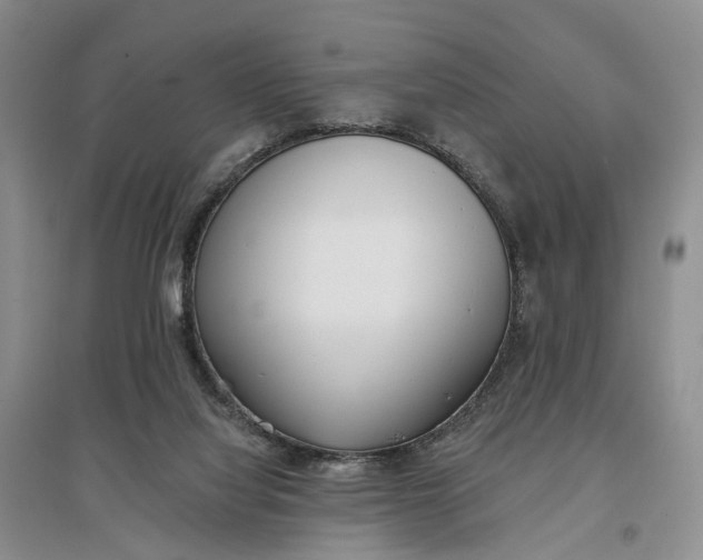 X0000097290068200802291800