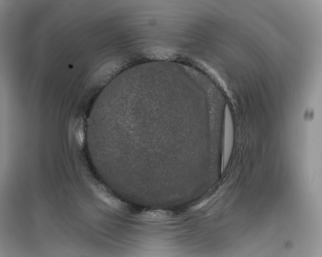 X0000097290069200802291800