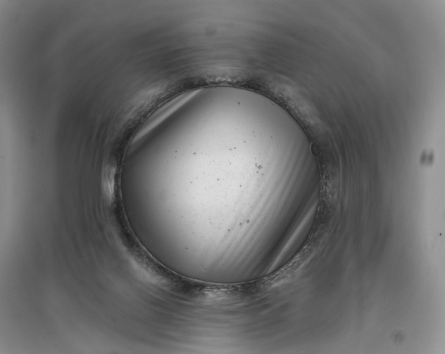 X0000097290070200802291800