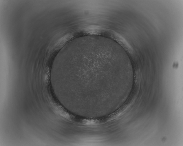 X0000097290073200802291800