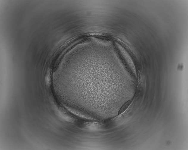 X0000097290074200802291800