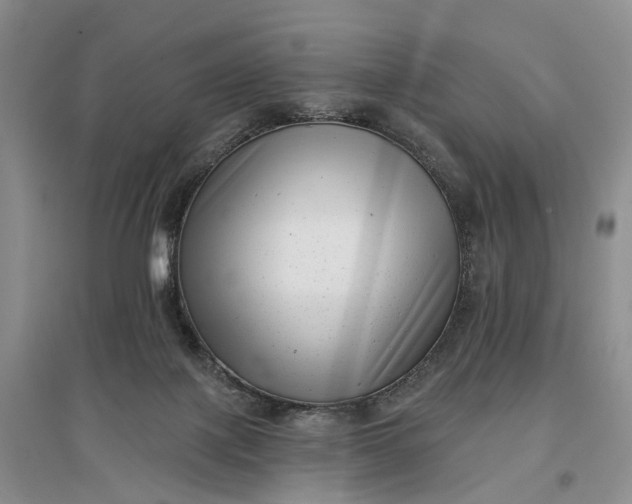 X0000097290075200802291800
