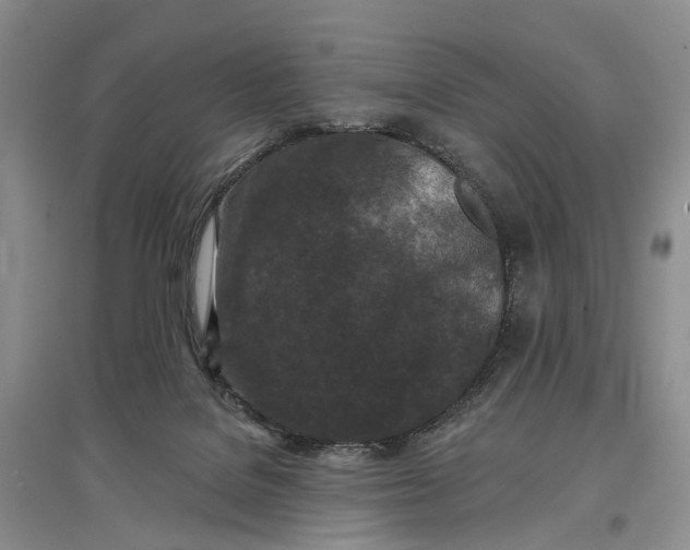 X0000097290076200802291800