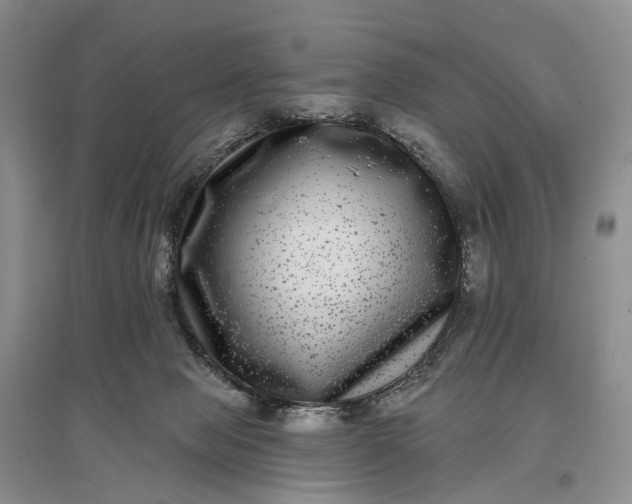 X0000097290077200802291800