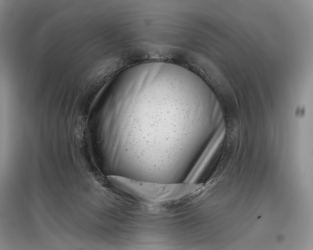 X0000097290078200802291800