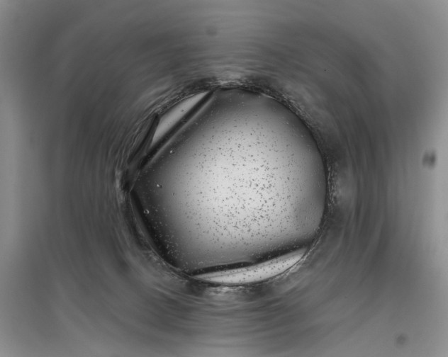 X0000097290082200802291800