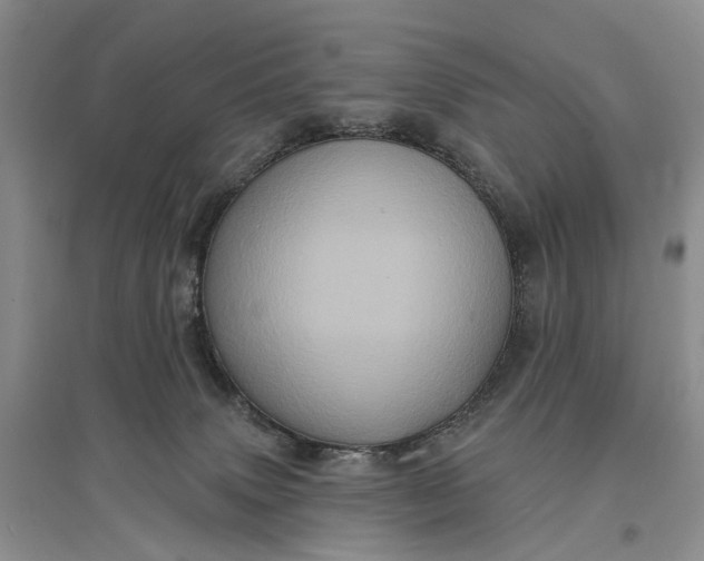 X0000097290083200802291800