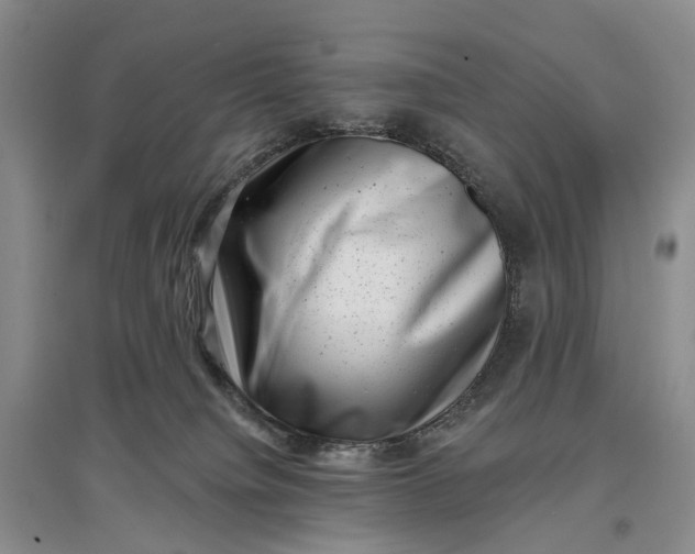 X0000097290084200802291800