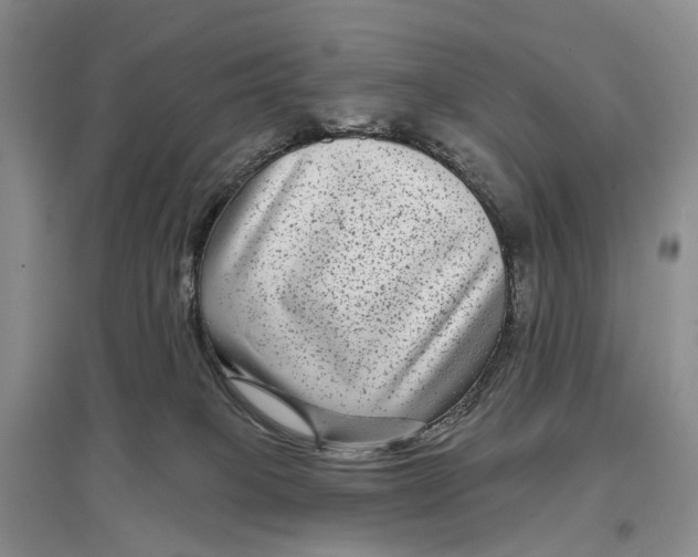X0000097290085200802291800
