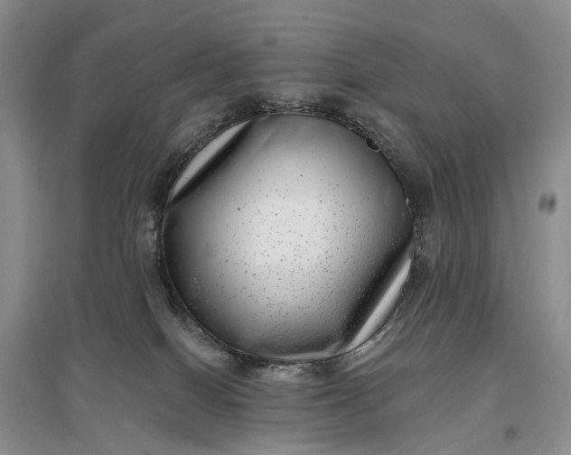 X0000097290086200802291800