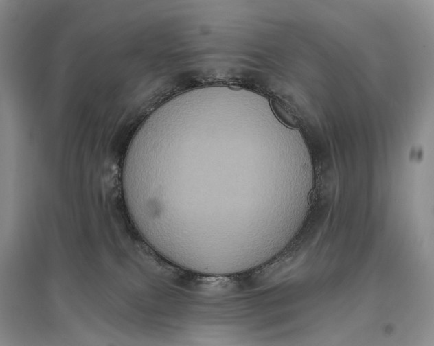 X0000097290087200802291800